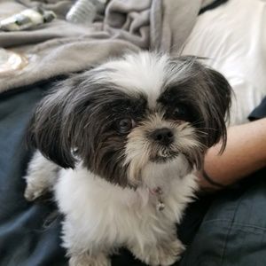 Meet your Posher, Scott